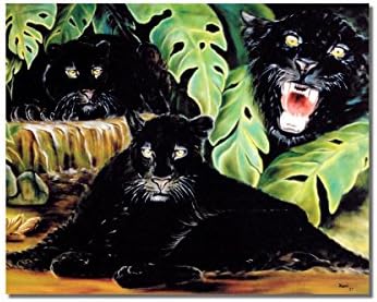 Black Panthers Cat Tropska životinjska divljina zida Slika 8x10 Umjetnički tisak