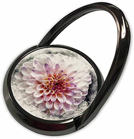 3Drose meka ružičasta i ljubičasta obruba Dahlia cvjetna slika akvarela - prstenovi telefona