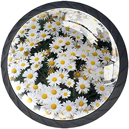 Kraido Daisies Cvjetovi Marguerite uzorak Ladica ruči 4 komada okrugli gumb za ormariće s vijcima pogodnim za kućni ured kupaonice