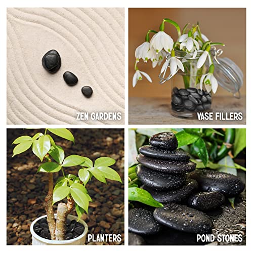 Skupni polirani crni šljunak 30 lb. - ½ ” - 1” inčni šljunak za biljke, vrtove, dekor, uređenje okoliša, sočan, terarij, ukrasne stijene,