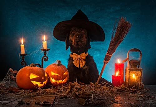 Maca Bates Dog ovvratnik s pramčanim kravatom- podesivi lukovi za pse za štene s metalnom ovratnikom kopča, Dan zahvalnosti Dan Halloween